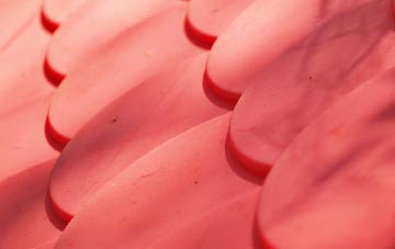 Dalestorth plastic roof costs