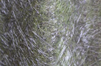 Dalestorth fibreglass roof work